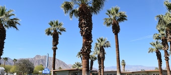 Stanlunds Inn And Suites