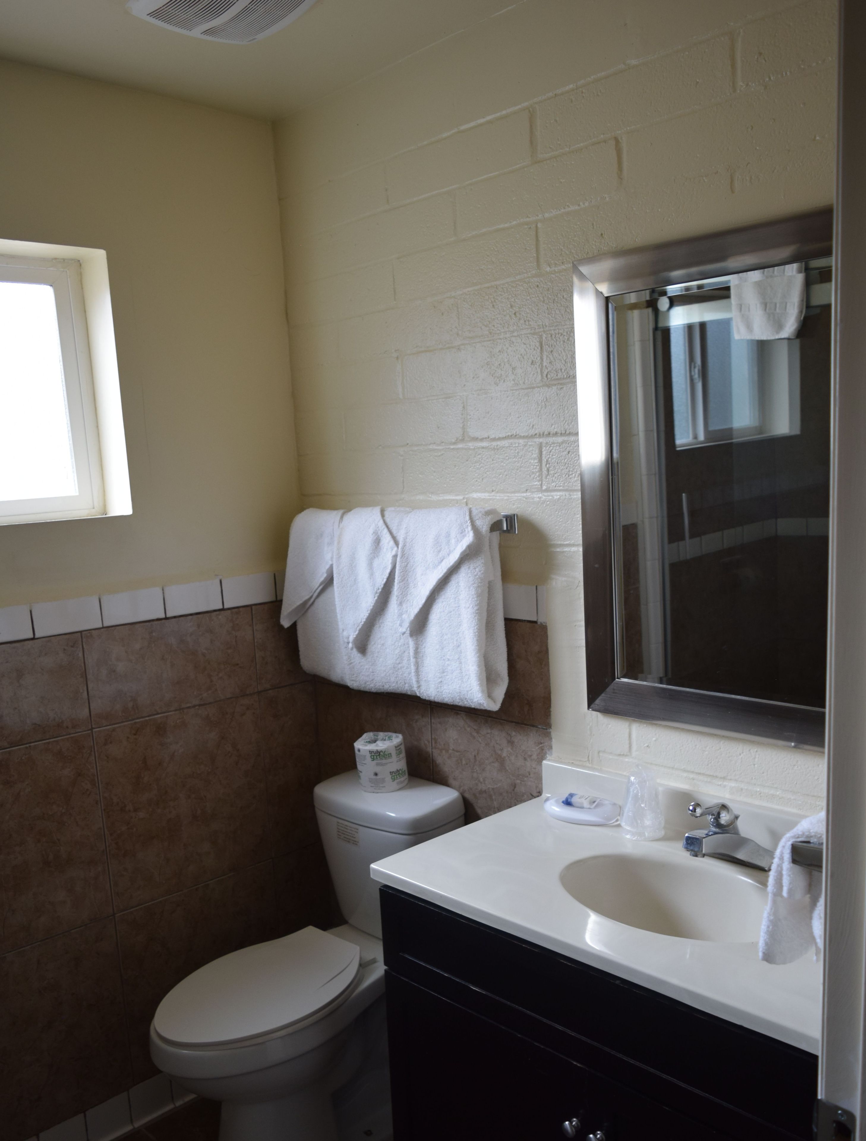 A bathroom with a toilet, sink, and mirror.