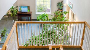 A spacious room with a large window, a wooden staircase, and several potted plants.