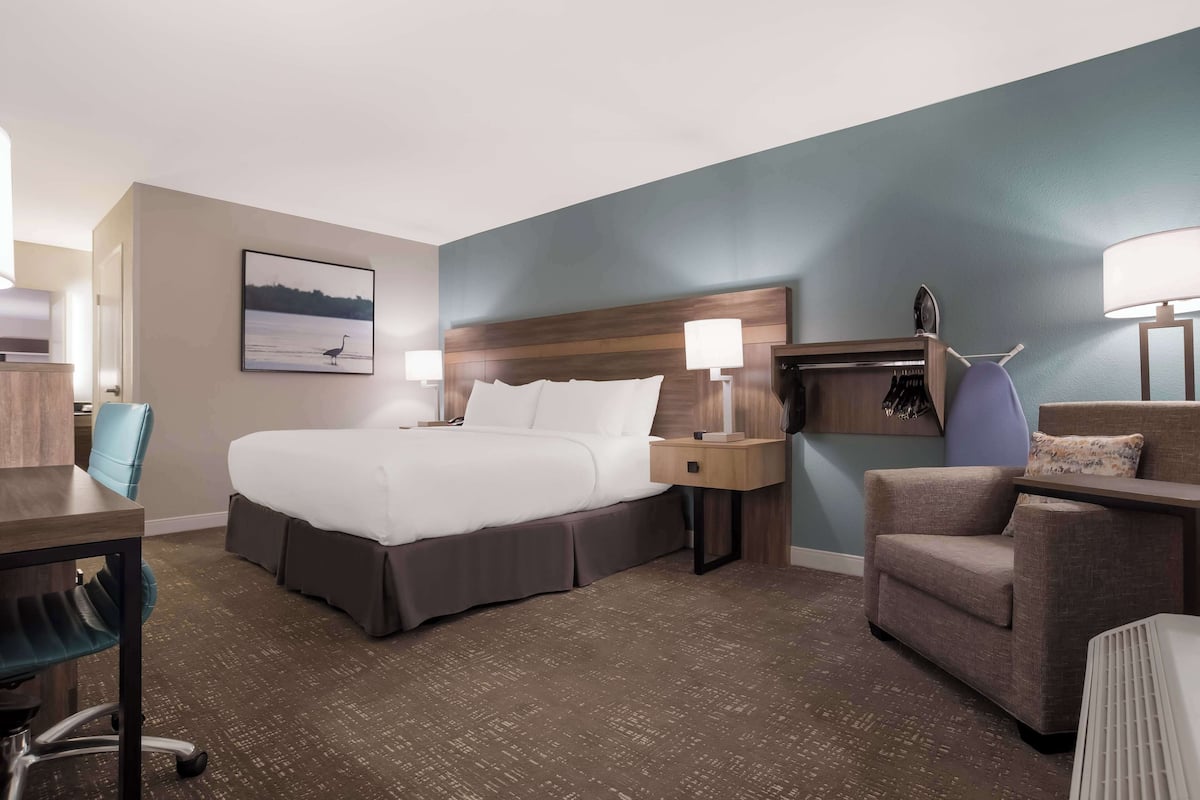 Standard Room, 1 King Bed, Accessible, Refrigerator & Microwave | In-room safe, desk, blackout drapes, iron/ironing board