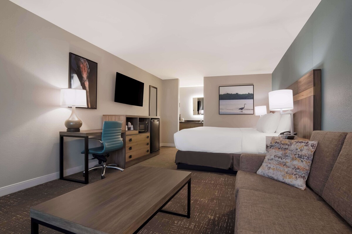 A hotel room with a bed, a desk, a chair, a sofa, and a TV.