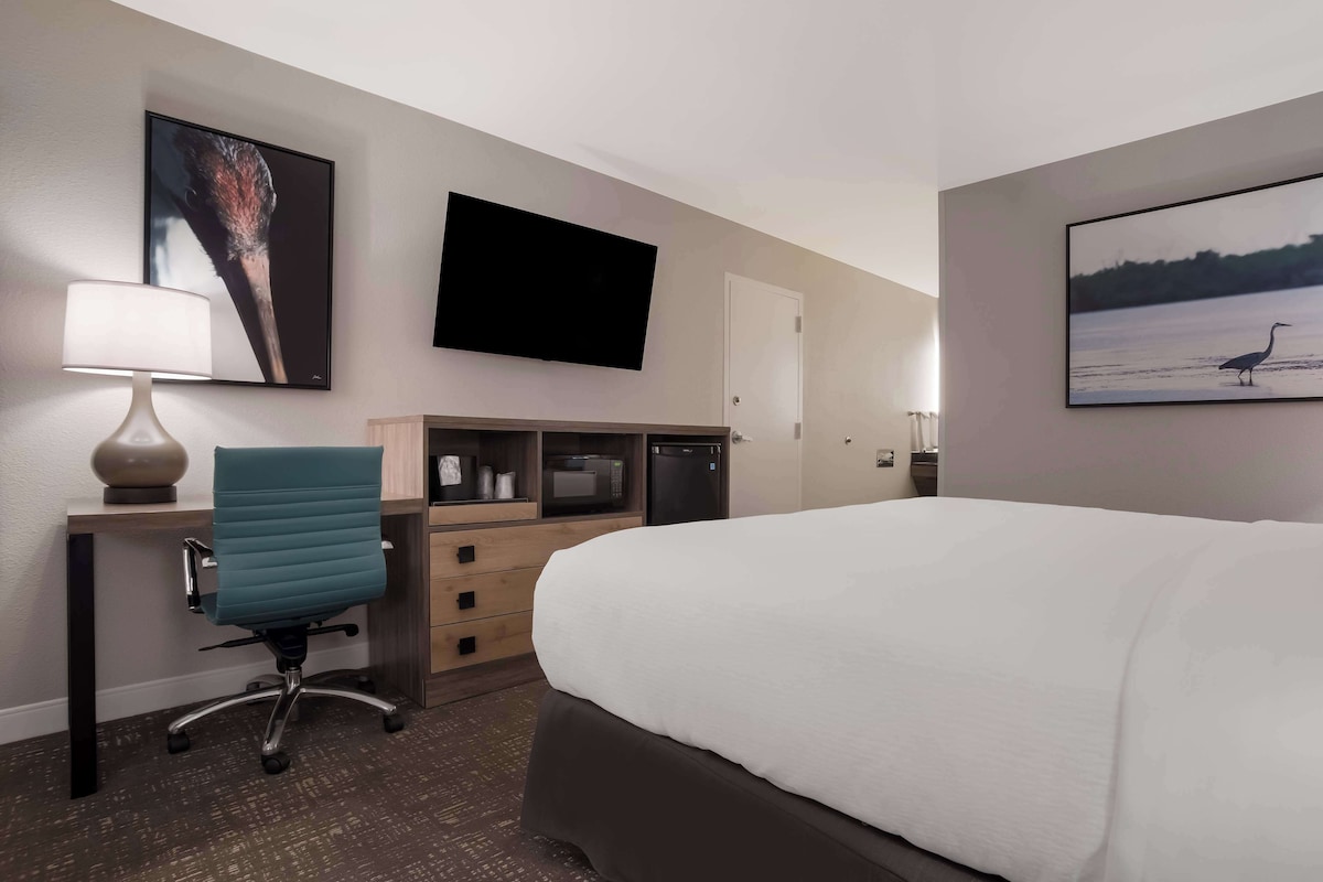 A hotel room with a bed, desk, chair, flat-screen TV, and artwork on the walls.
