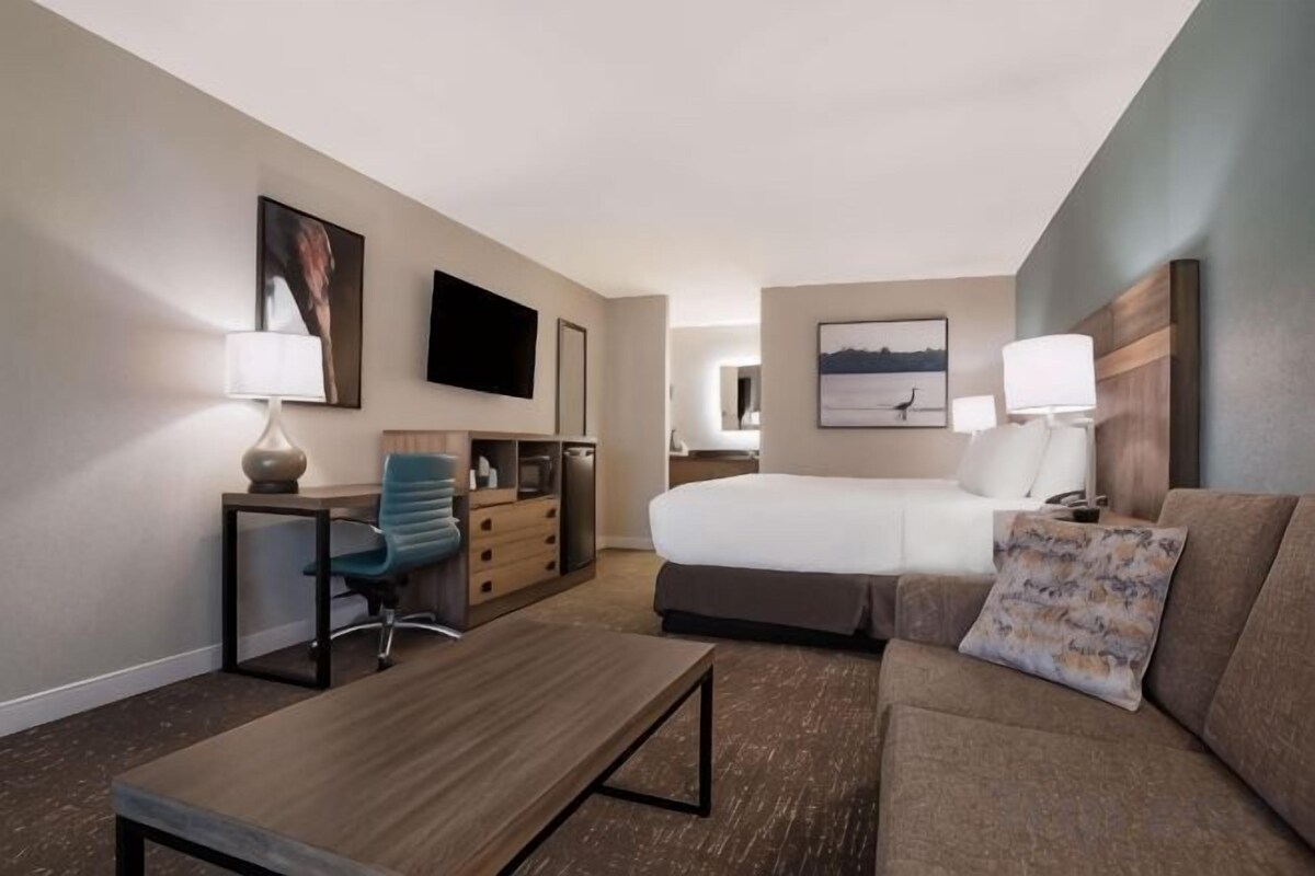 A hotel room with a bed, a sofa, a desk, a chair, a TV, and a flat-screen TV mounted on the wall.