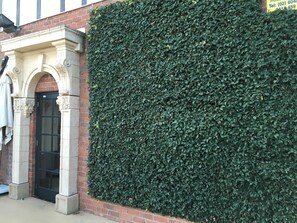 Exterior - Albury Manor House (Albury)