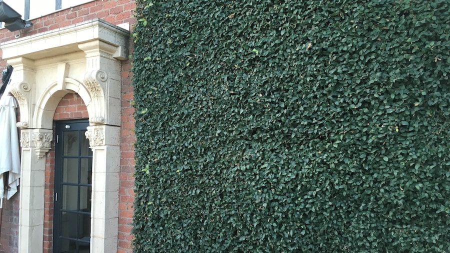 Albury Manor House