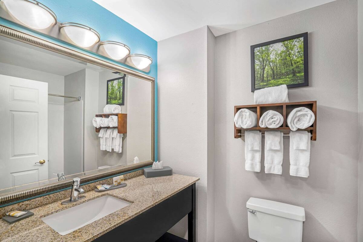 combined shower/bathtub, free toiletries, hair dryer, towels