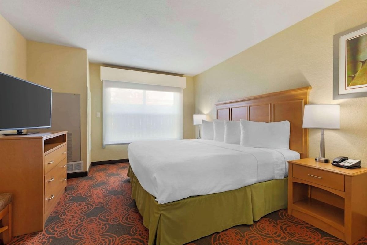 A hotel room with a bed, a desk, a chair, a television, and a window with blinds.