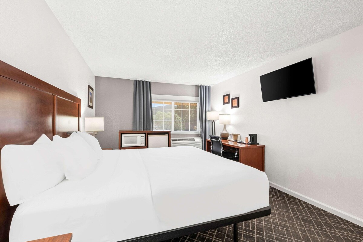 Premium bedding, desk, laptop workspace, blackout drapes