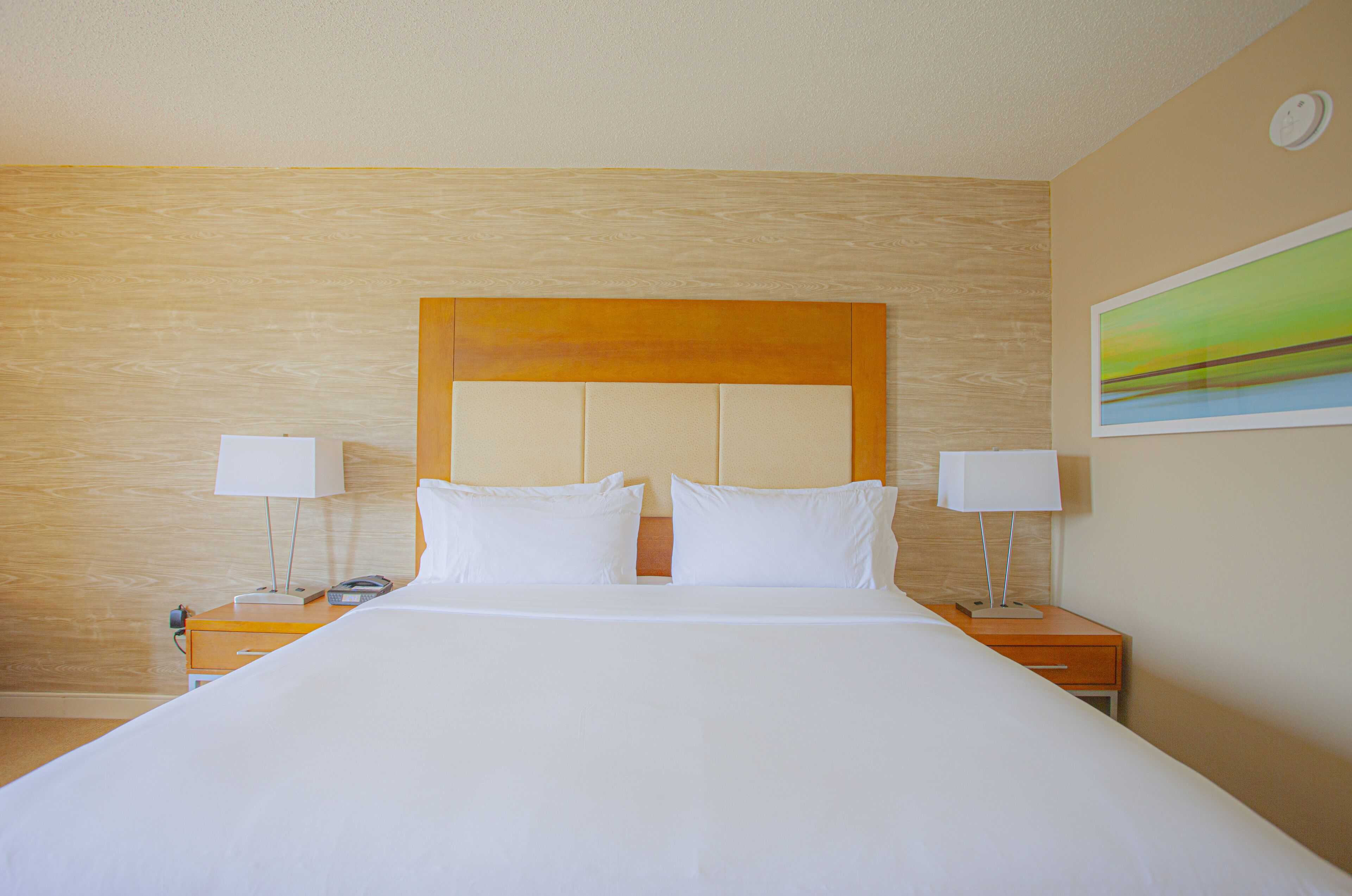 Photo - Holiday Inn & Suites Spring - The Woodlands