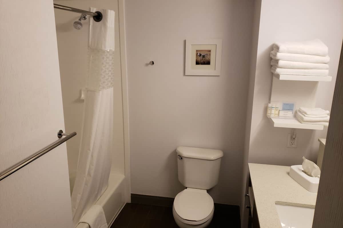 free toiletries, hair dryer, towels