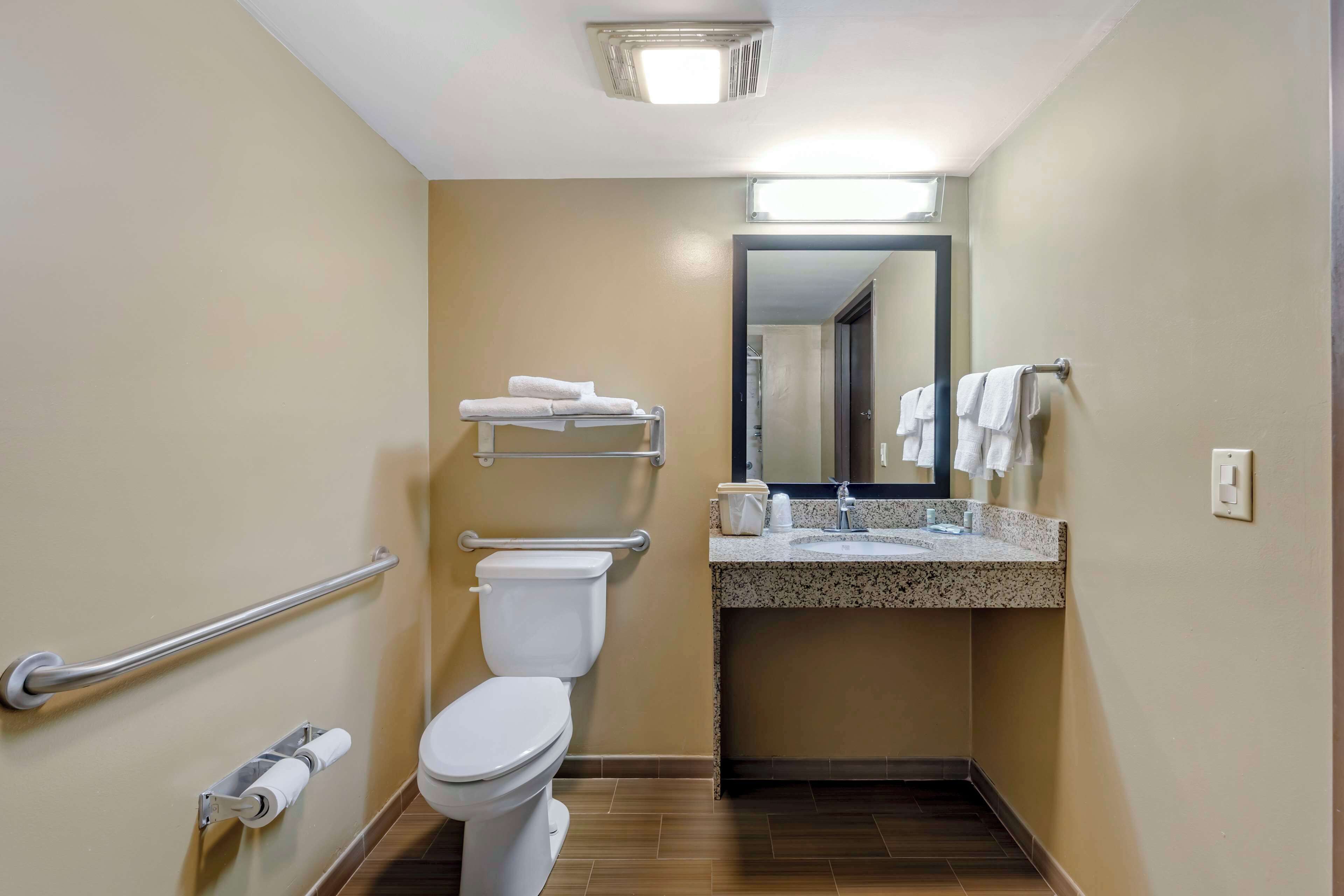 standard room, 1 king bed, accessible, non smoking | bathroom | free toiletries, hair dryer, towels