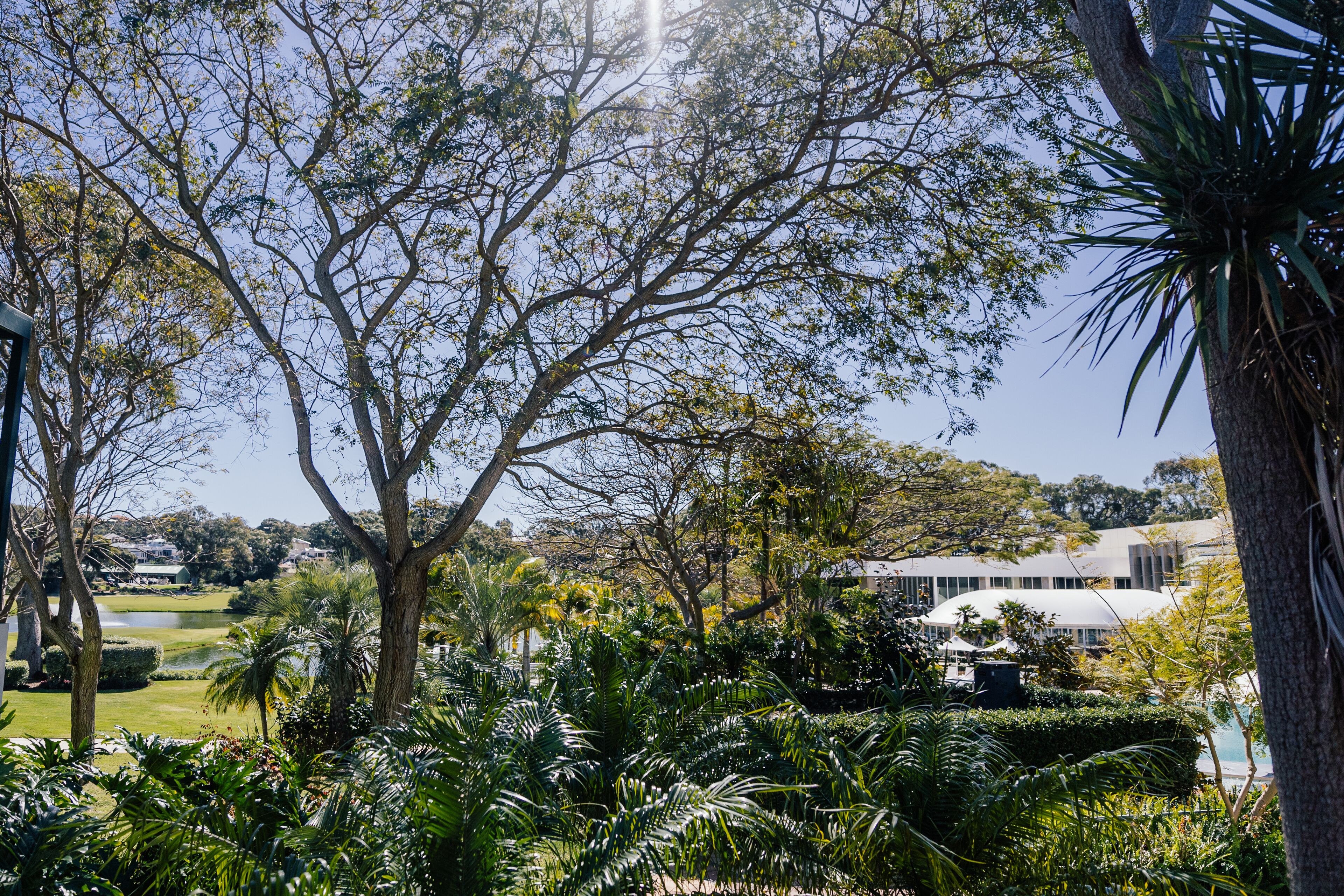 A lush garden with a variety of trees and plants, a pond, and a modern building with a dome-shaped roof in the background.