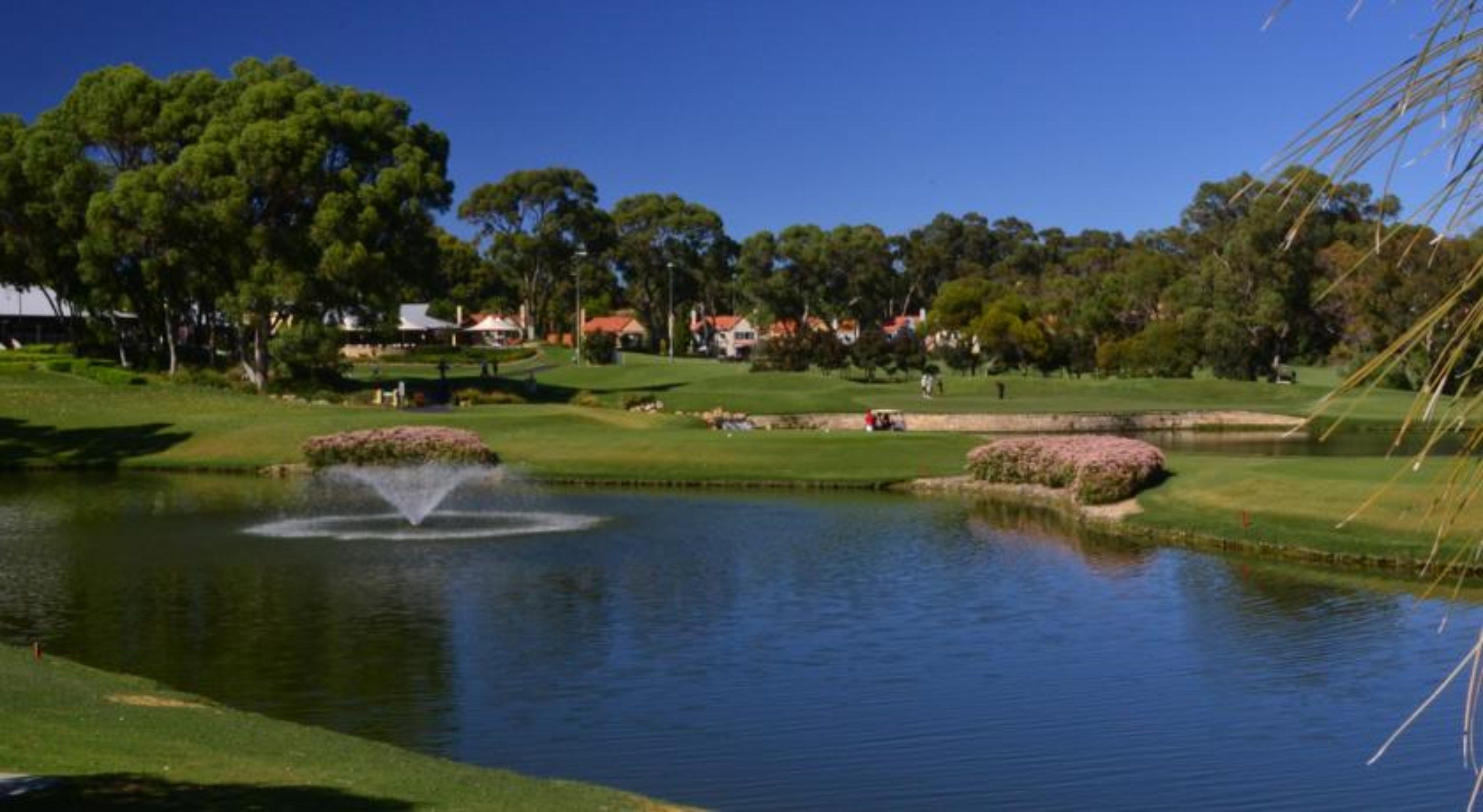 A golf course with a pond, trees, and houses in the background.