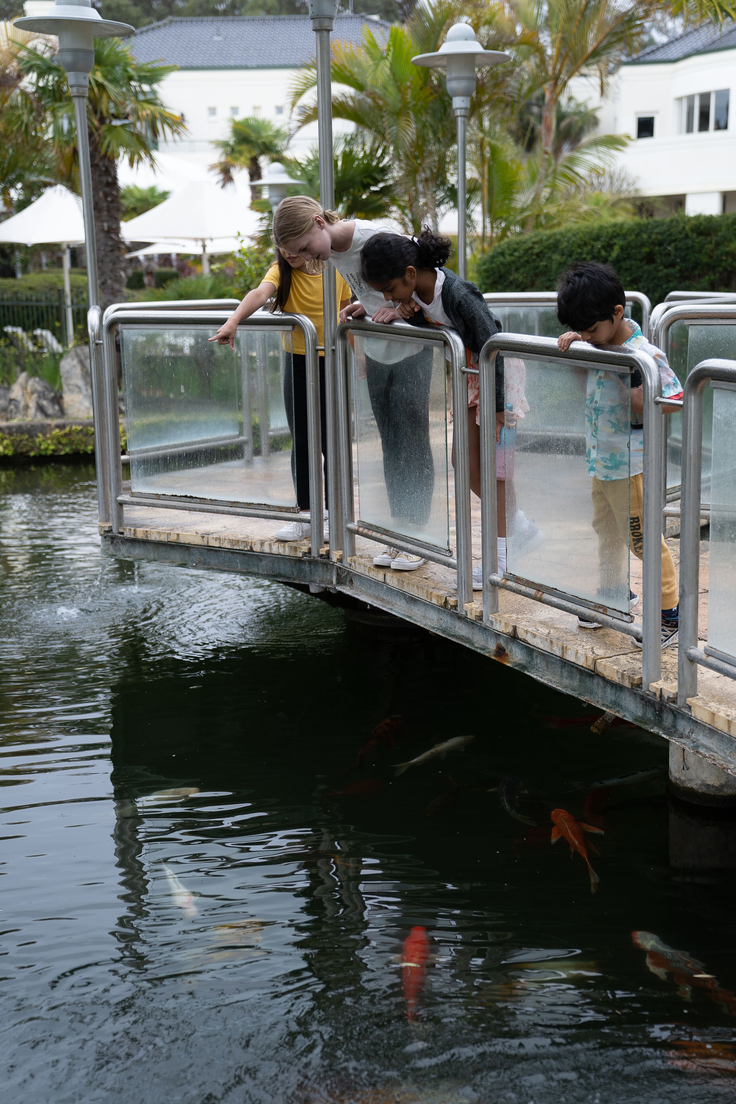 land view from property