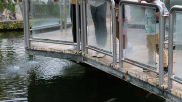A bridge over water with people on it.