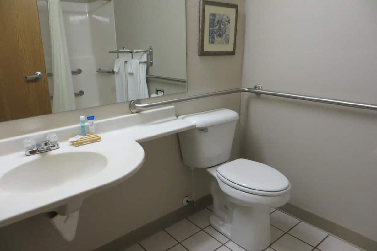 combined shower/bathtub, free toiletries, hair dryer, towels