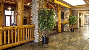 Un hall d’entrée aux murs en pierre, aux poutres apparentes et agrémenté de plantes en pot.