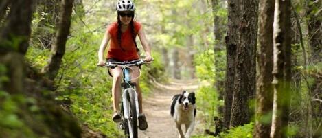 Una persona pedaleando en bicicleta por un sendero forestal, con un perro caminando a su lado.
