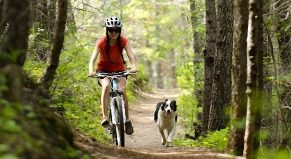 A person riding a bicycle on a forest trail with a dog walking beside them.