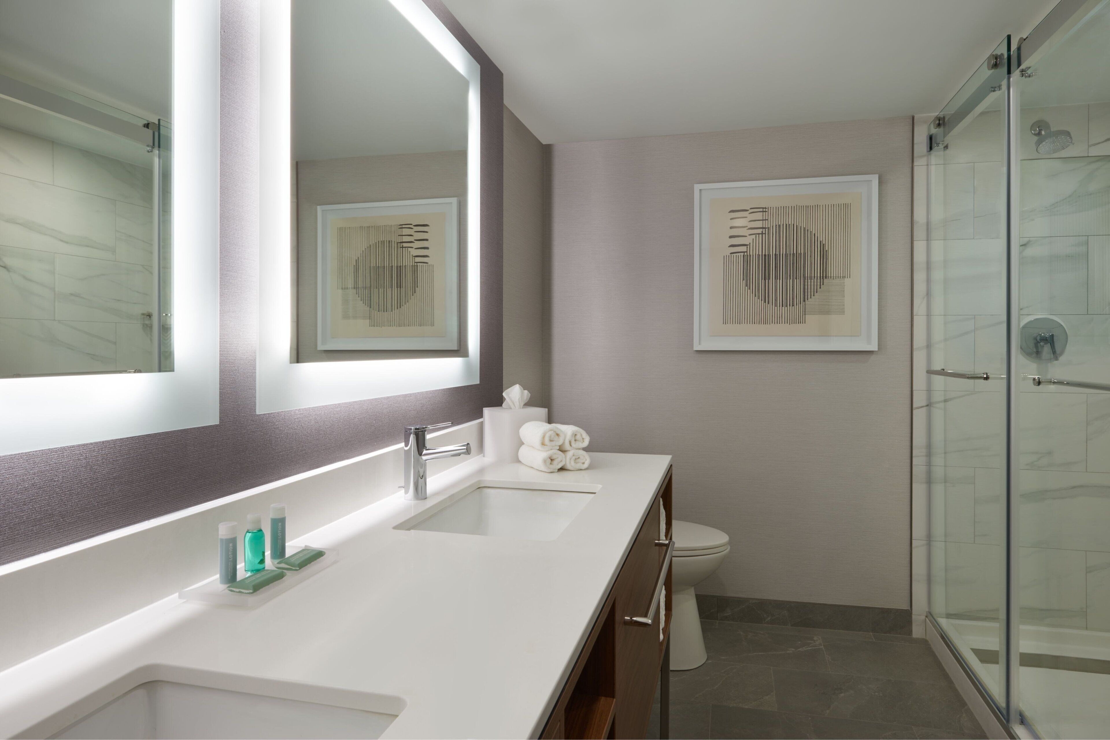 A modern bathroom with a large mirror, two sinks, a toilet, and a glass shower enclosure.