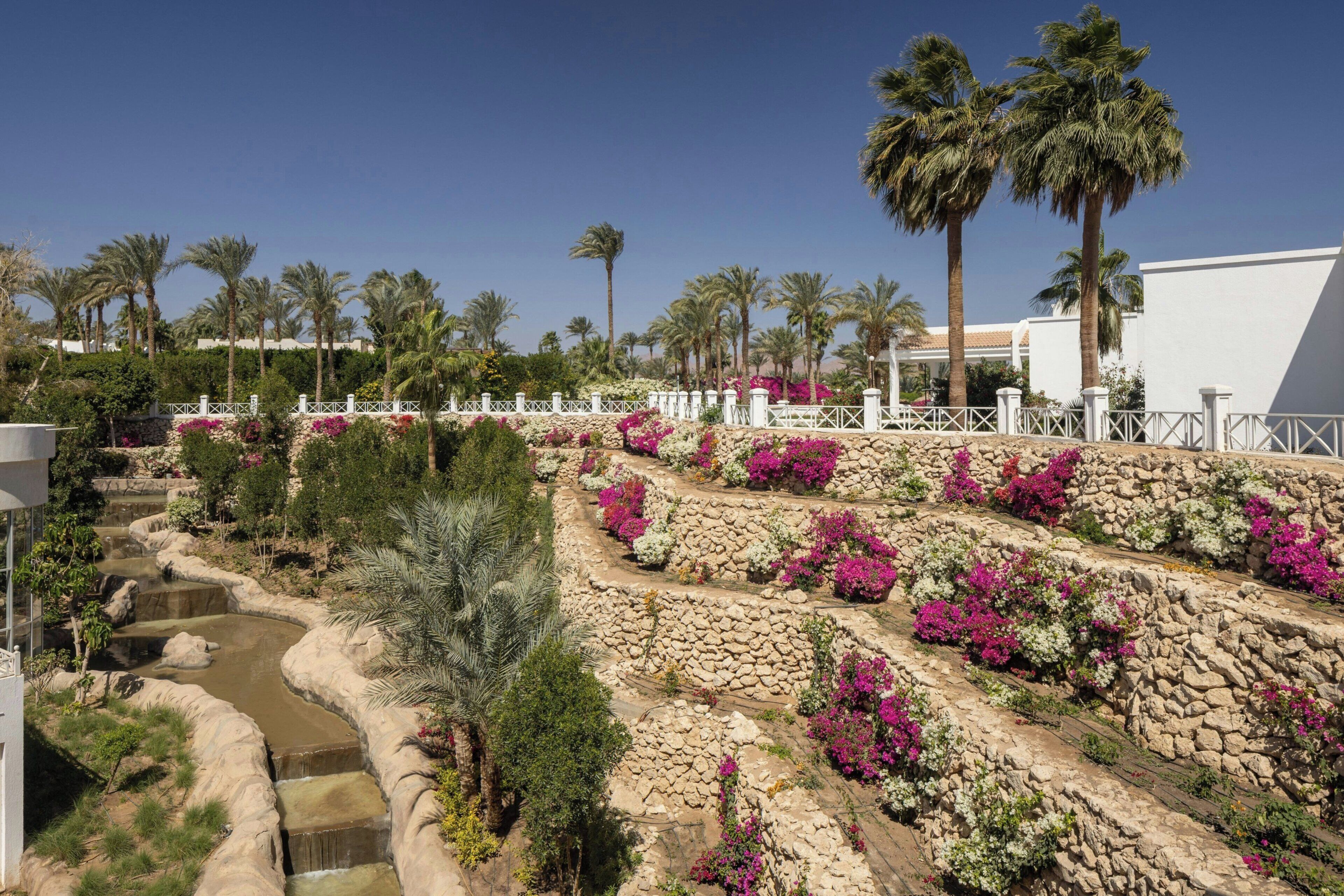 Foto - Sheraton Sharm Hotel, Resort, Villas & Spa