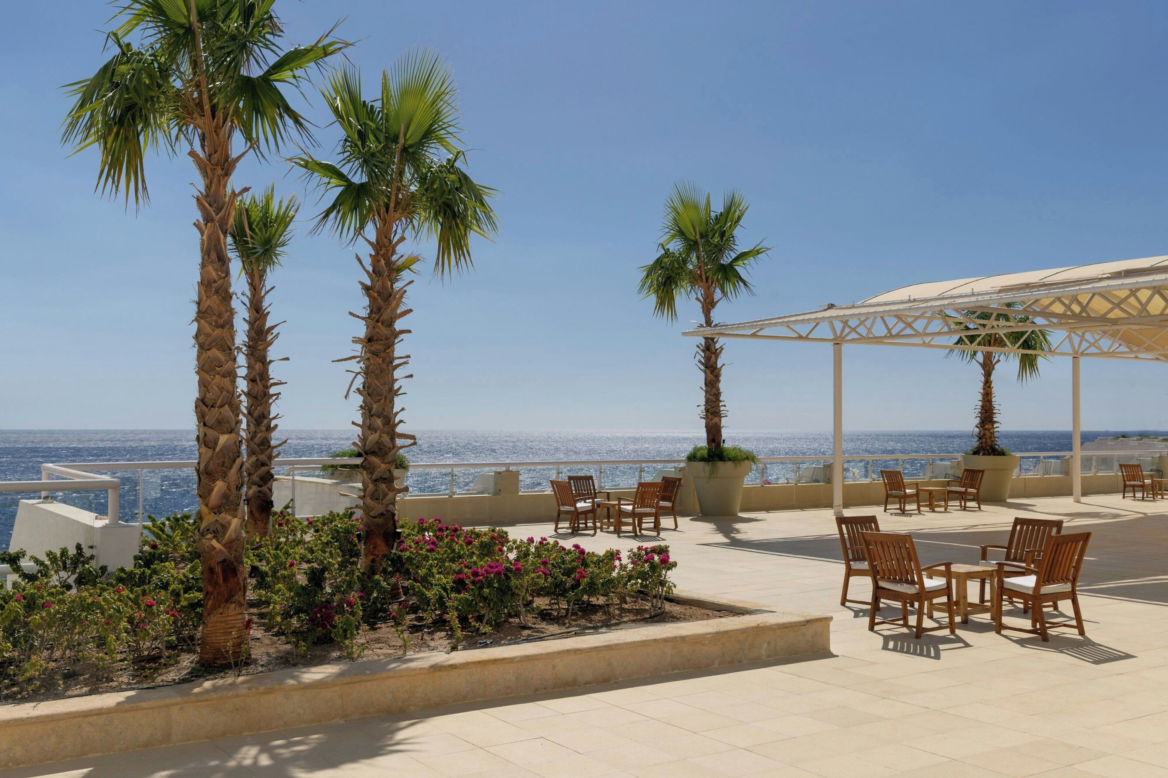 Foto - Sheraton Sharm Hotel, Resort, Villas & Spa