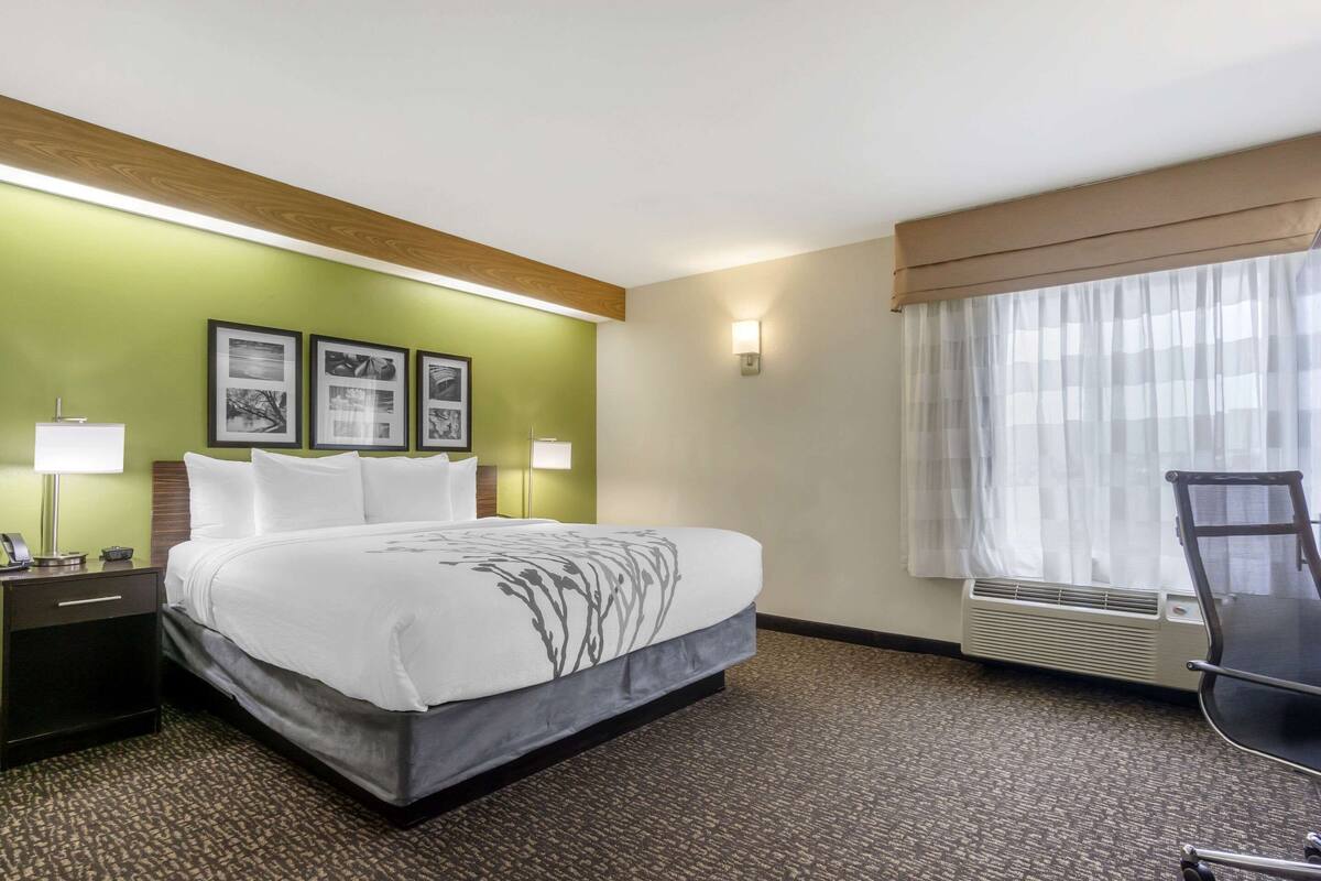 Hotellihuone, jossa on sänky, työpöytä, tuoli, lamppu, seinään kiinnitetty lämmitin ja seinällä olevia tauluja.
