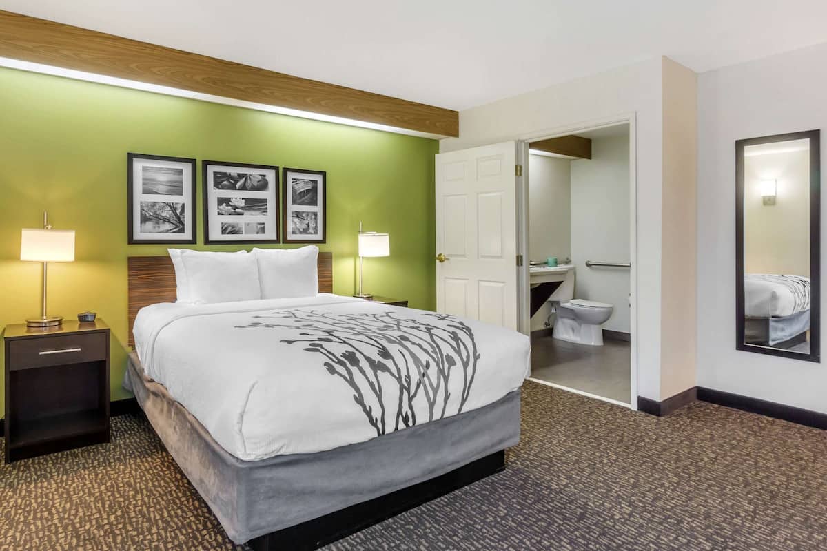 Room, 1 Queen Bed, Accessible, Non Smoking (Bathtub) | Pillow-top beds, in-room safe, desk, blackout curtains