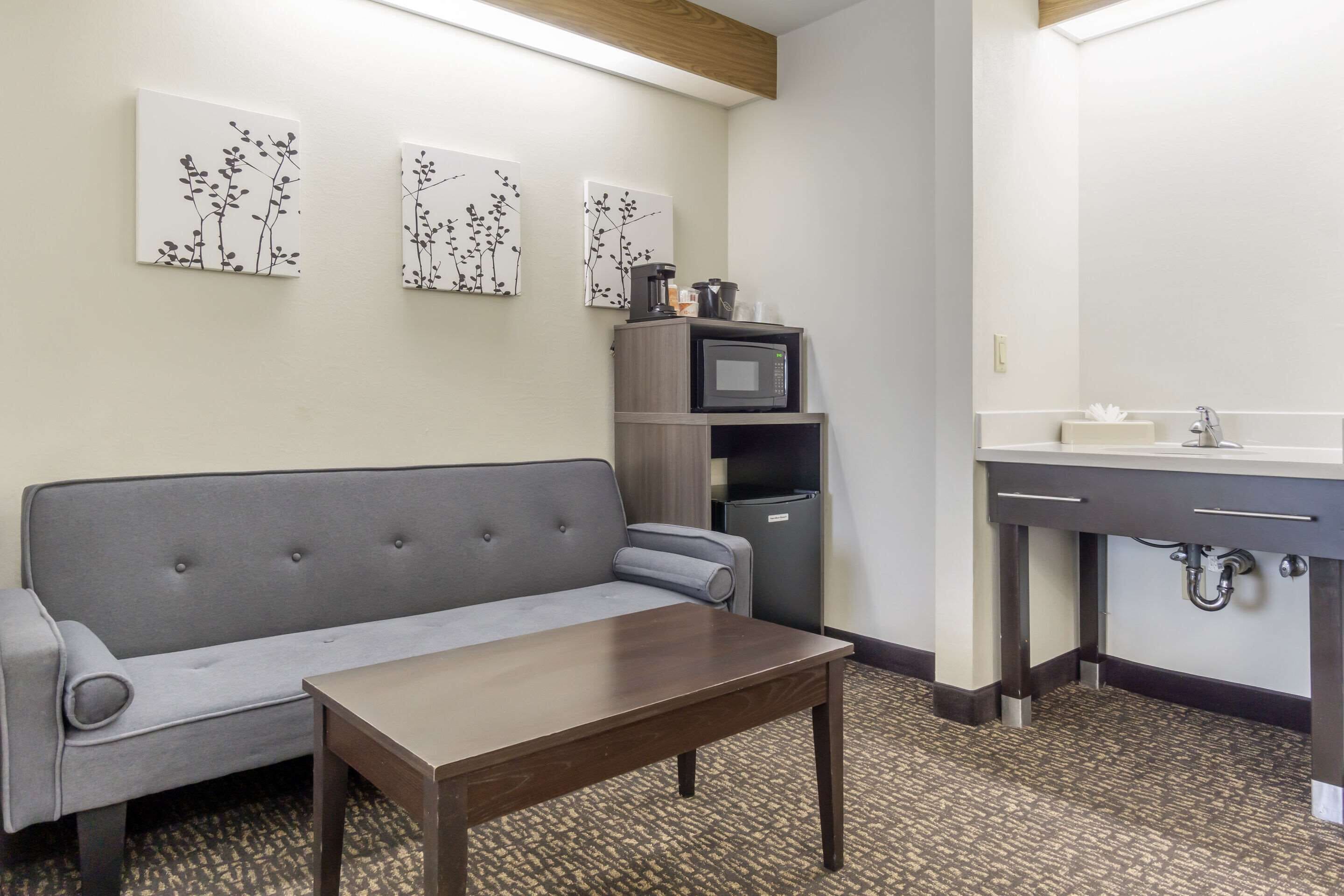 suite, 1 king bed with sofa bed, non smoking | pillow-top beds, in-room safe, desk, blackout curtains