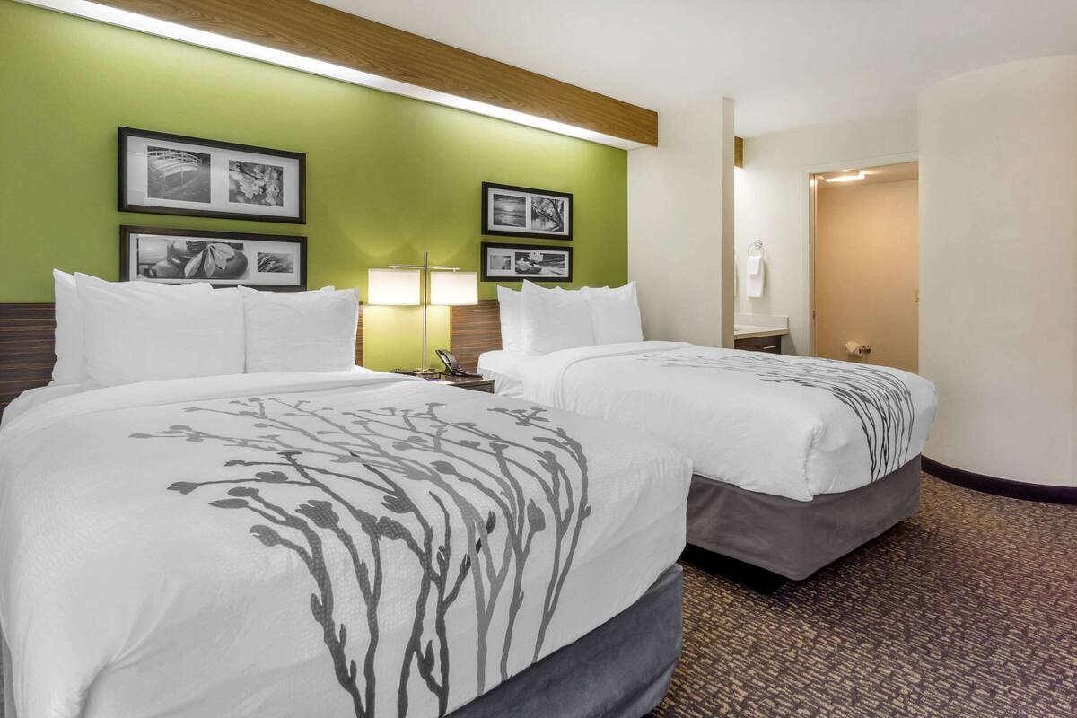 Hotellihuone, jossa on kaksi sänkyä, vihreät seinät, kehystetyt taulut, yöpöytä lampun kanssa ja matolla peitetty lattia.
