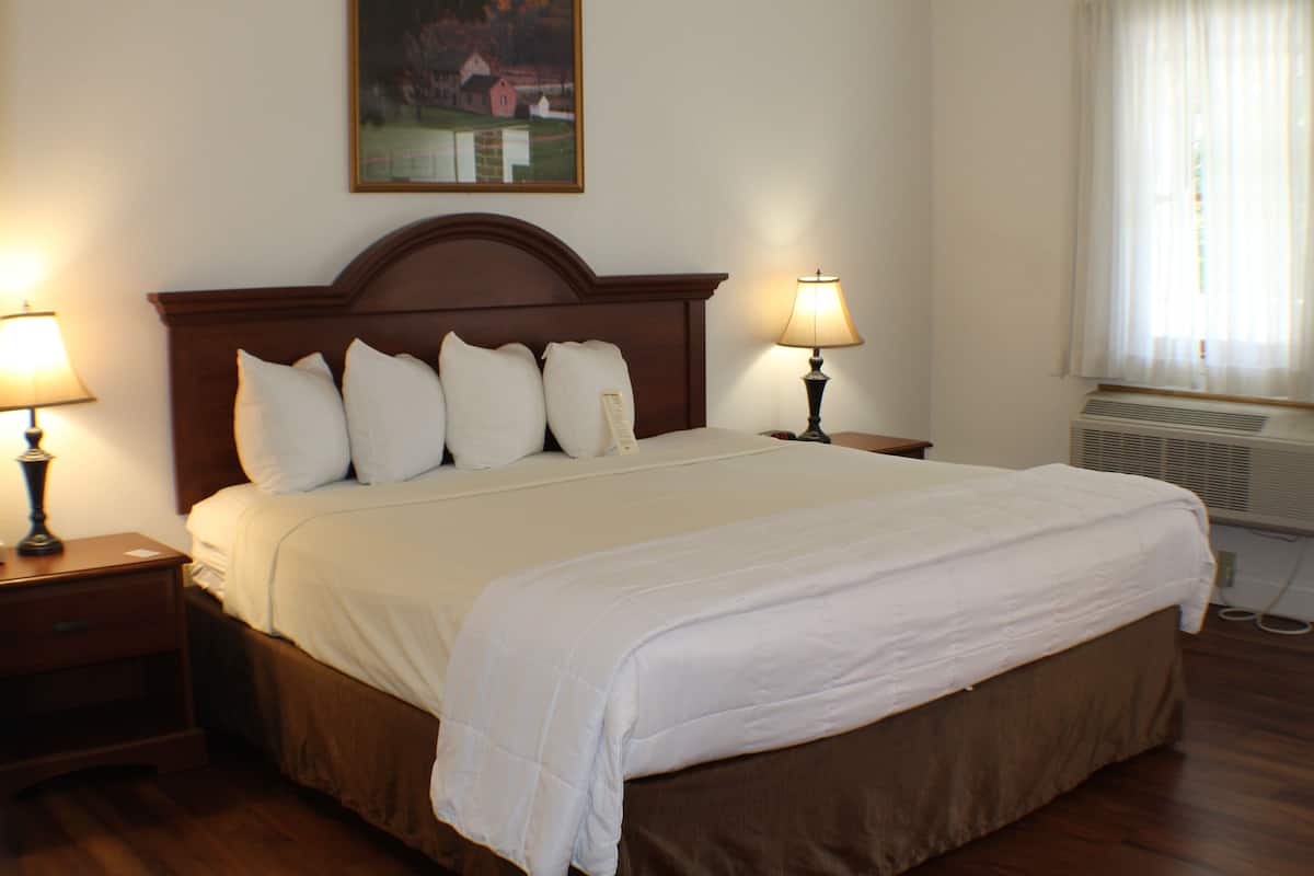 Chambre, 1 très grand lit, non-fumeur (Pet Friendly) | Coffre-fort, décor unique, ameublement unique