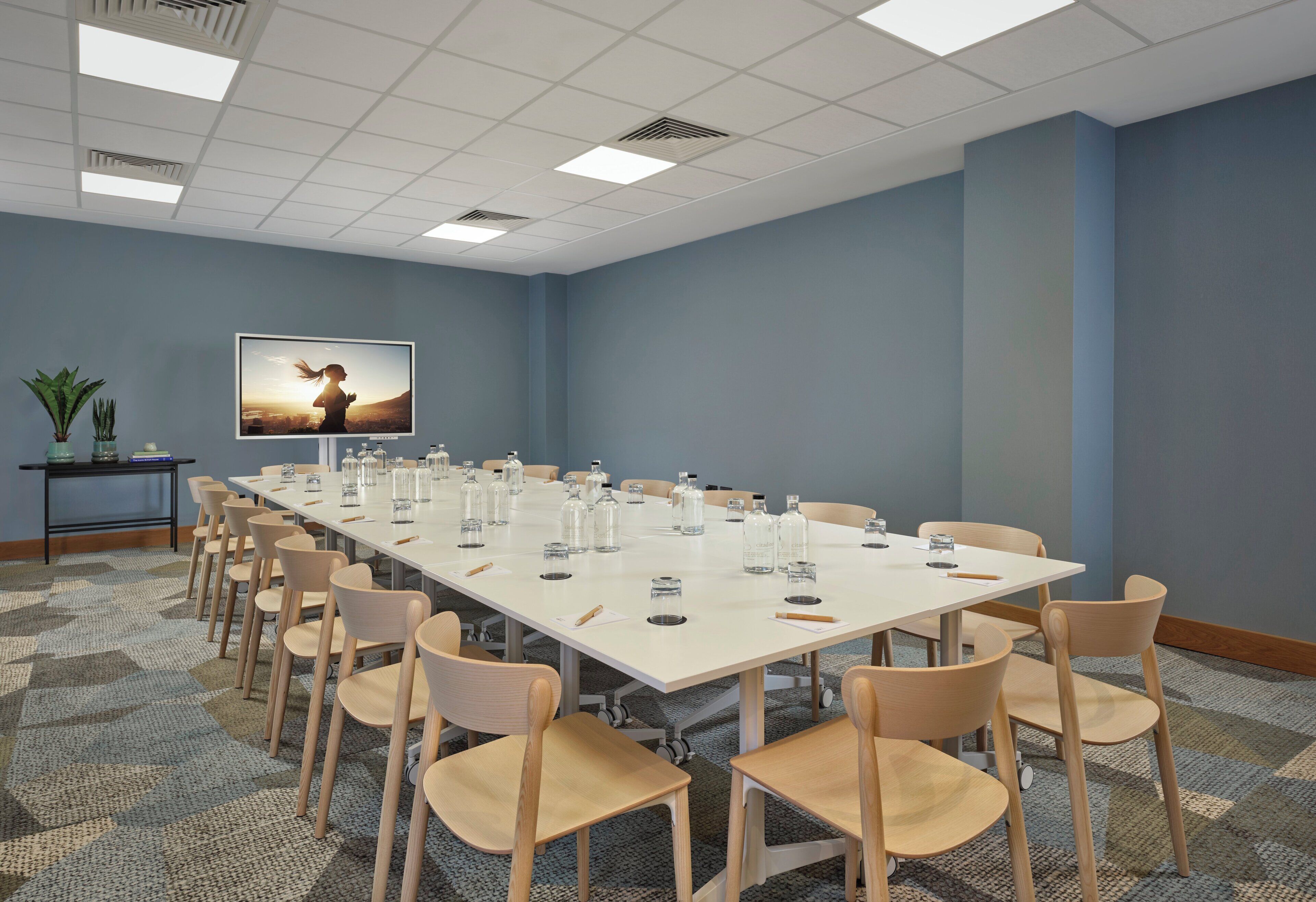 A conference room with a long table, chairs, a television, and a plant on a side table.