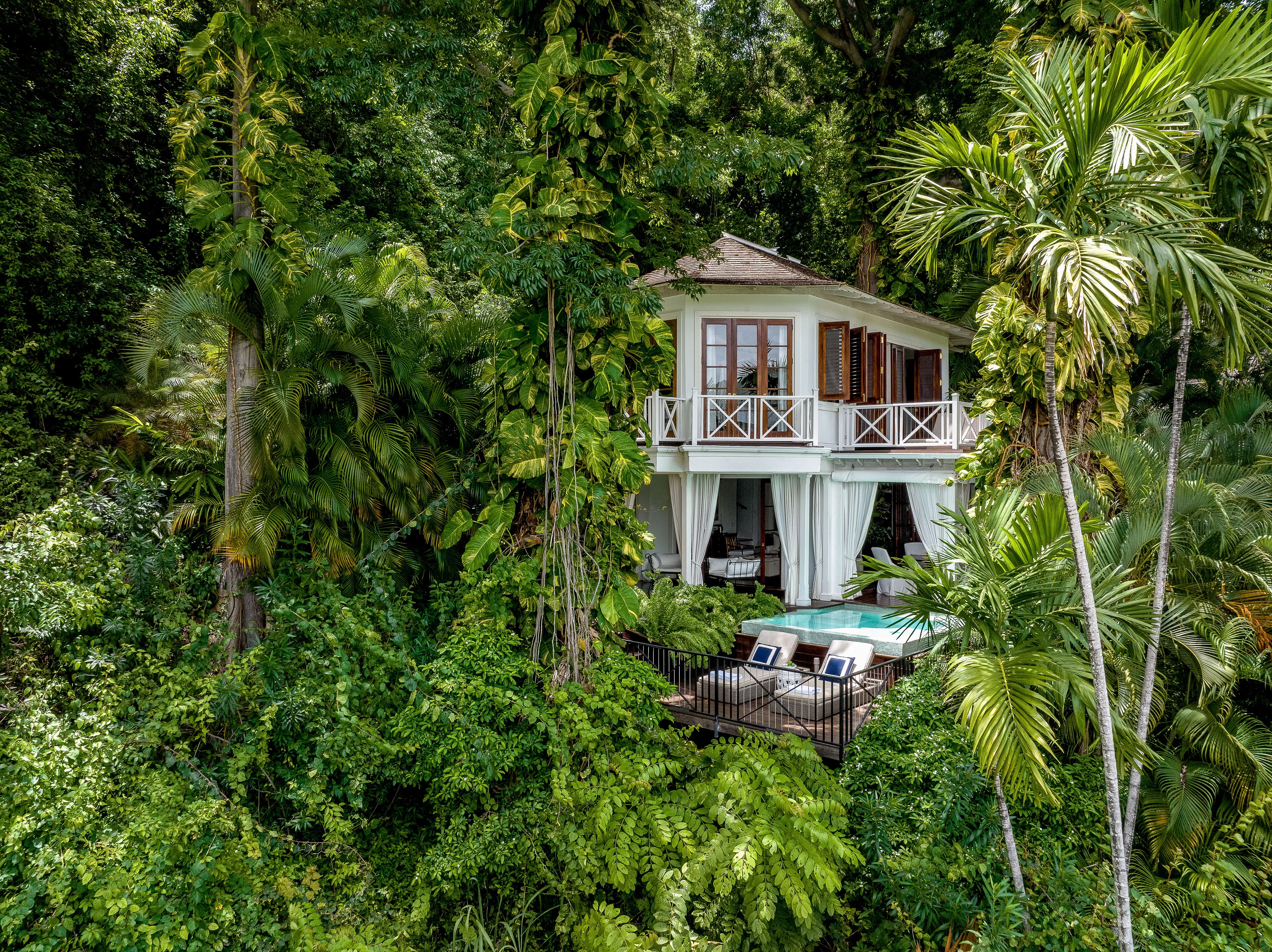 A treehouse with a balcony, surrounded by dense tropical foliage.