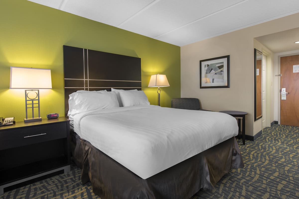 Standard Room, 1 King Bed, Accessible (Accessible Tub) | Desk, laptop workspace, iron/ironing board, free cribs/infant beds