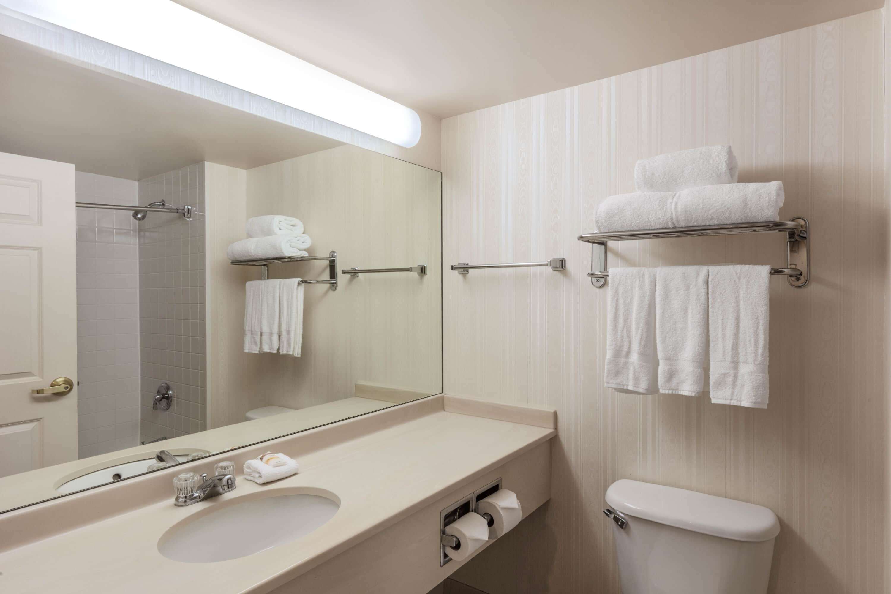 combined shower/bathtub, free toiletries, hair dryer, towels