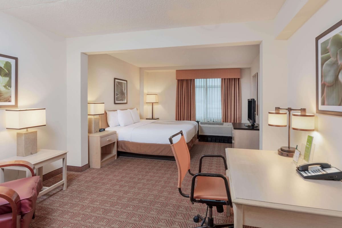 Room, 1 King Bed, Non Smoking | Premium bedding, desk, blackout drapes, iron/ironing board