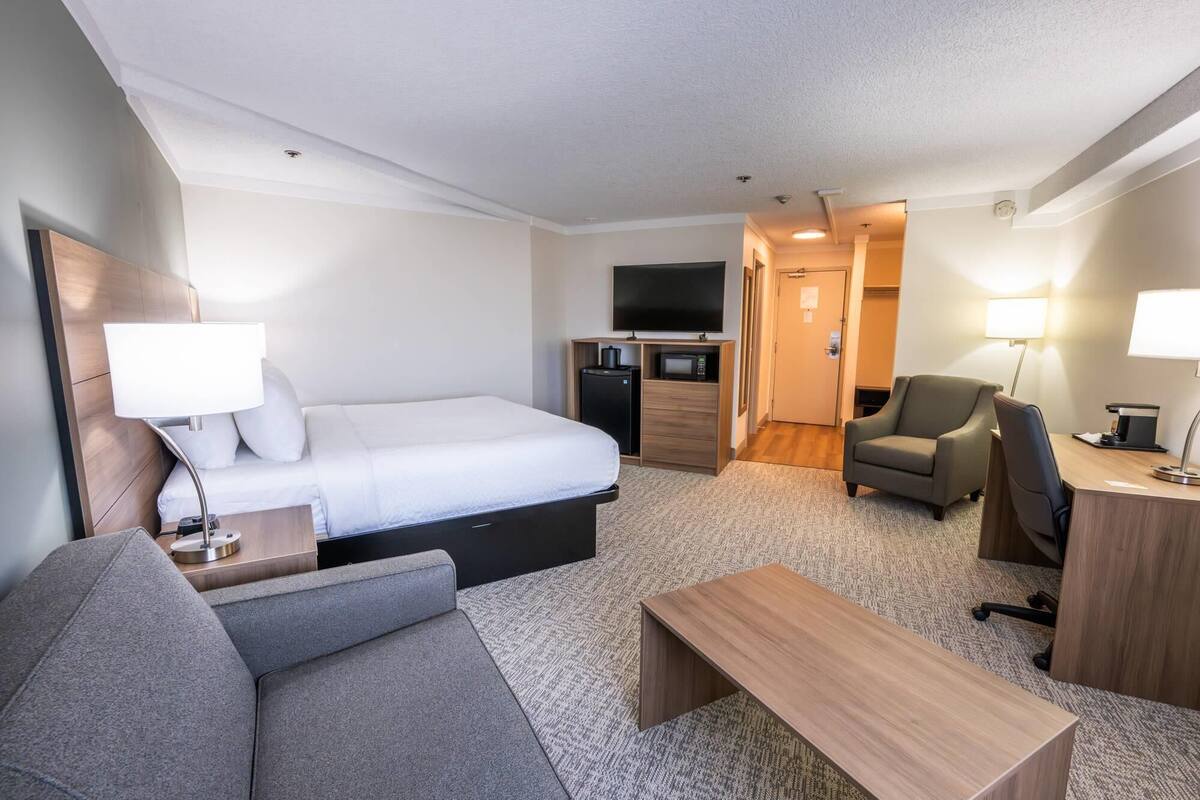 Habitación de hotel con cama, sofá, escritorio, televisión, microondas y cafetera.
