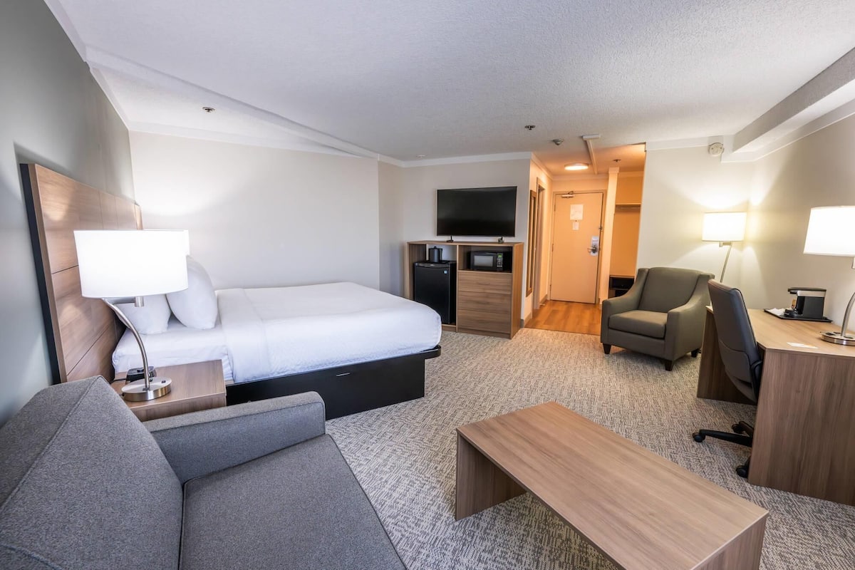Standard Suite, 1 King Bed, Non Smoking | Desk, laptop workspace, blackout drapes, iron/ironing board