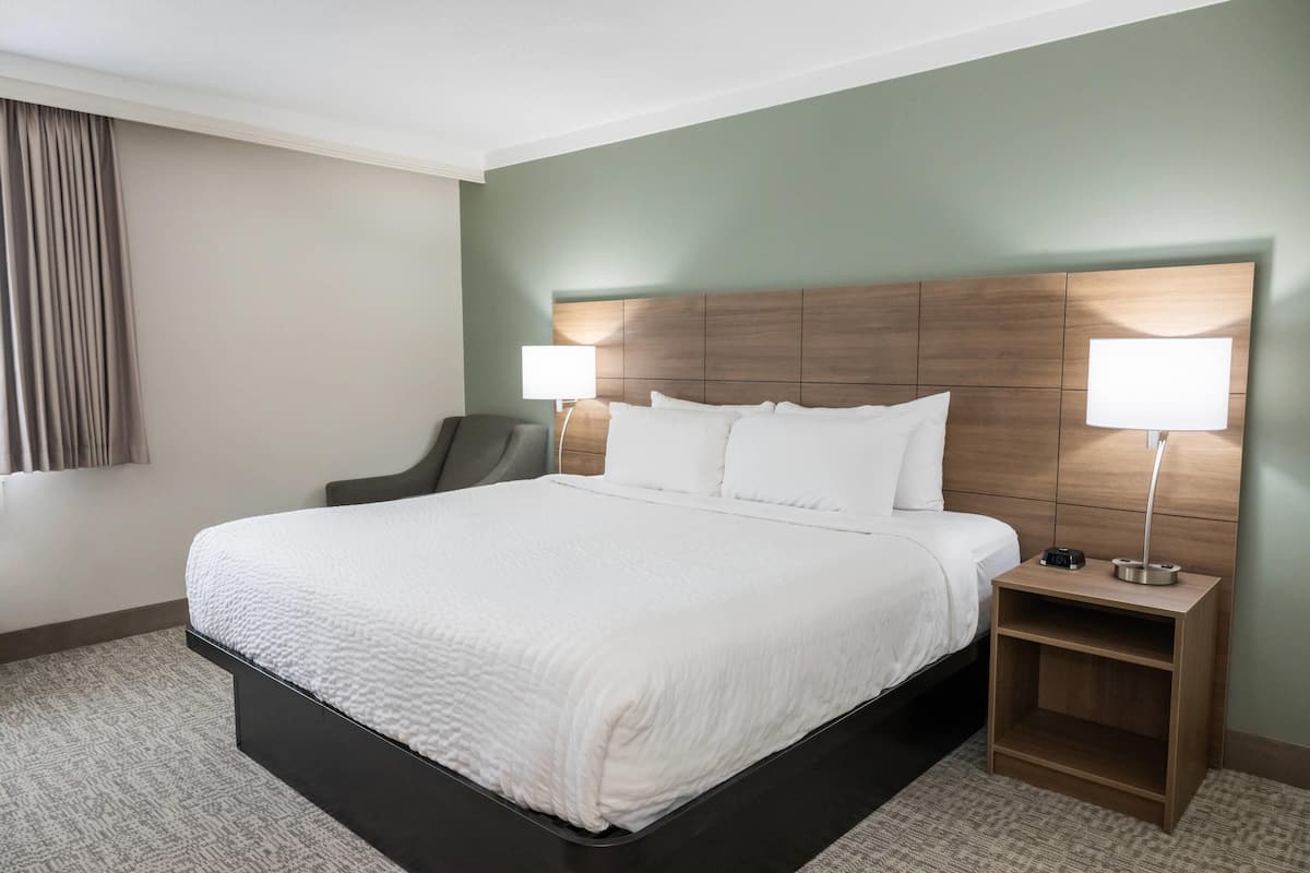 Standard Room, 1 King Bed, Non Smoking | Desk, laptop workspace, blackout drapes, iron/ironing board