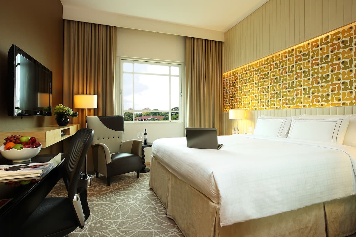 A hotel room with a large bed, a desk with a laptop, a TV, and a view of the city.