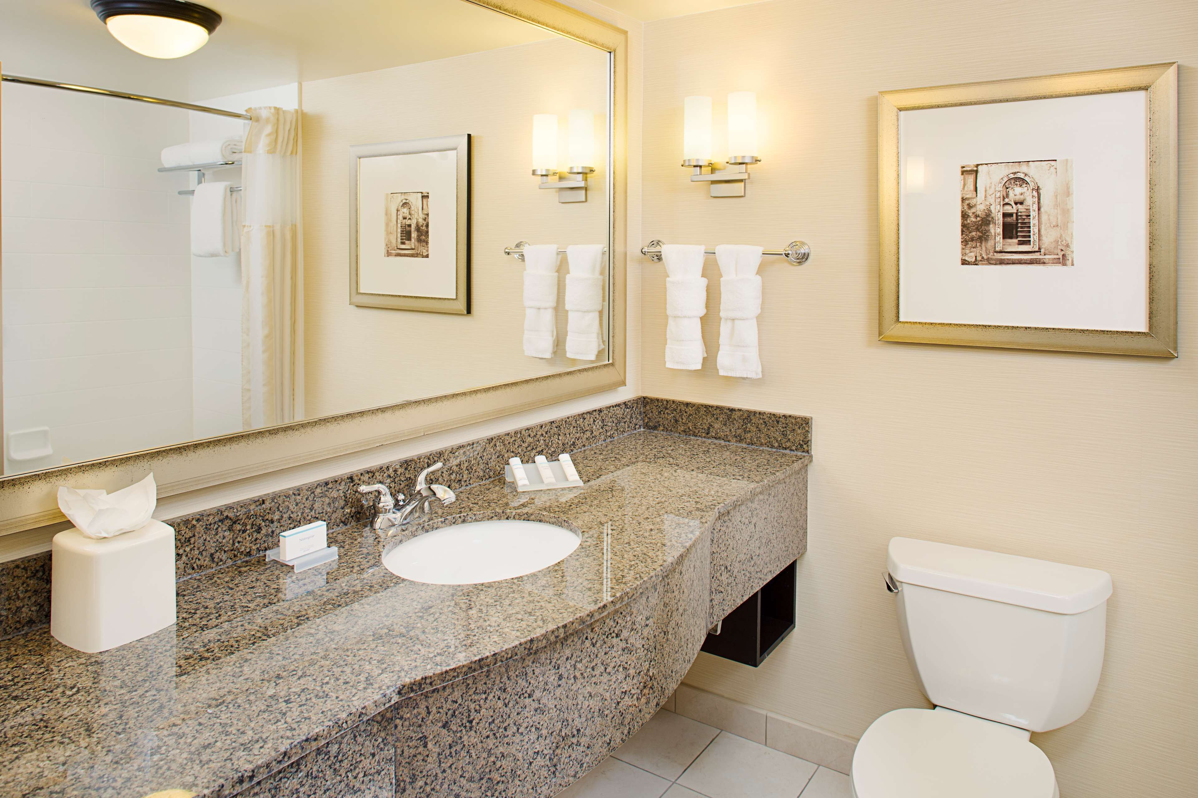 combined shower/bathtub, free toiletries, hair dryer, towels