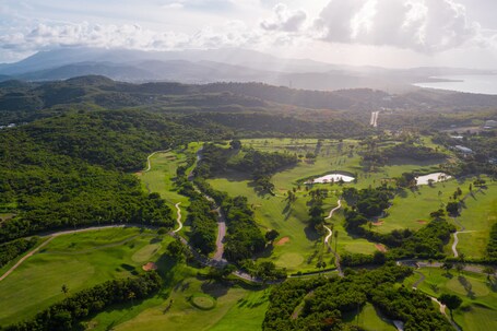 El Conquistador Resort - Image 35