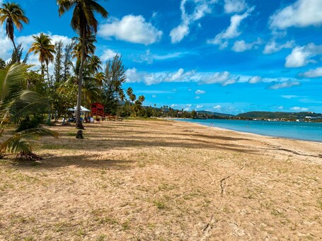 El Conquistador Resort - Image 61