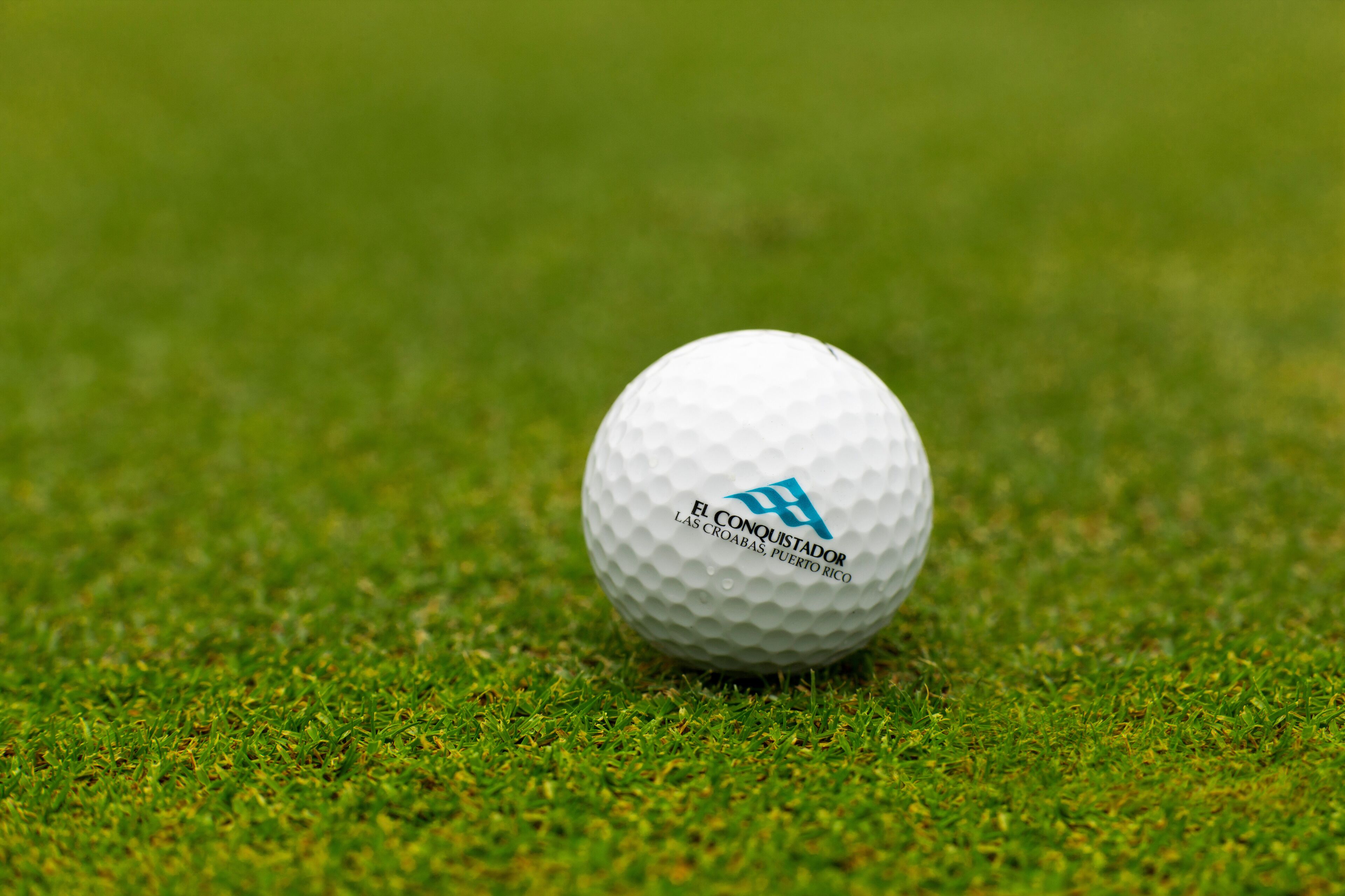 A golf ball on a grassy surface.