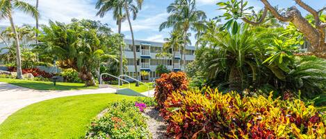 A hotel with a pool, surrounded by lush greenery and palm trees.