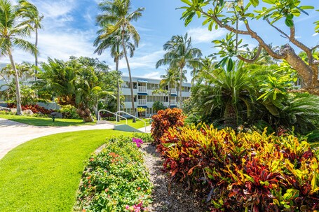 El Conquistador Resort - Image 33