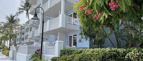 Un hotel de varios pisos con balcones, rodeado de exuberante vegetación y palmeras.