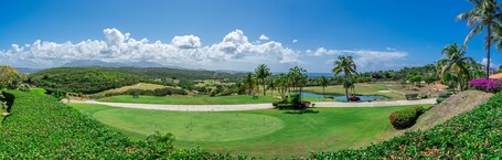El Conquistador Resort - Image 41