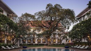 Ein Poolbereich mit Liegestühlen, einem großen Baum und einem Gebäude mit mehreren Fenstern und Balkonen.