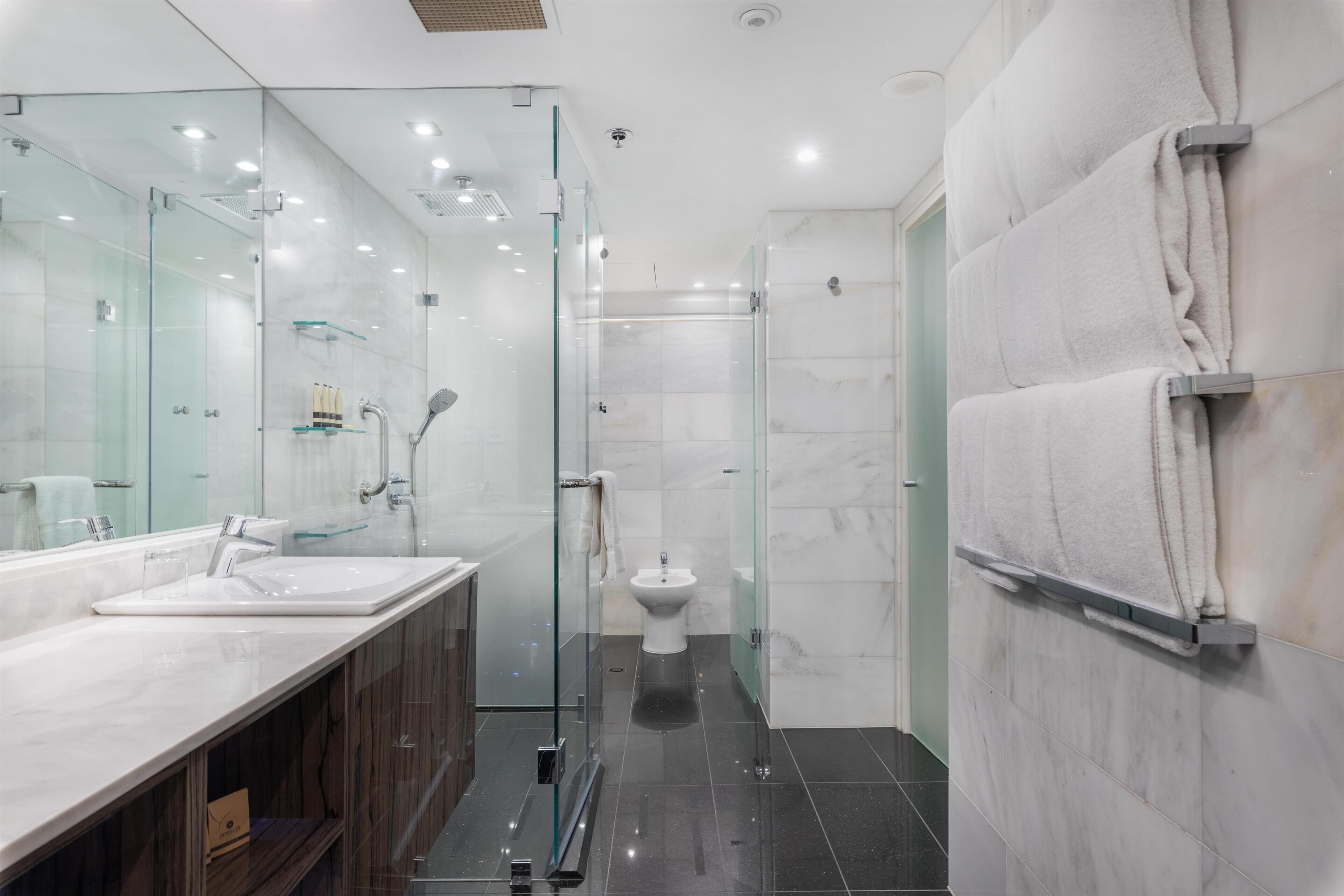 A modern bathroom with a glass shower enclosure, a white toilet, and a large mirror.